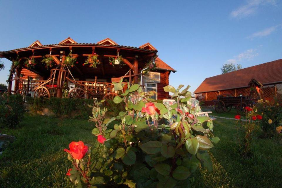 Roenk-Wellness Panzio Mezopeterd Bed & Breakfast Bagian luar foto